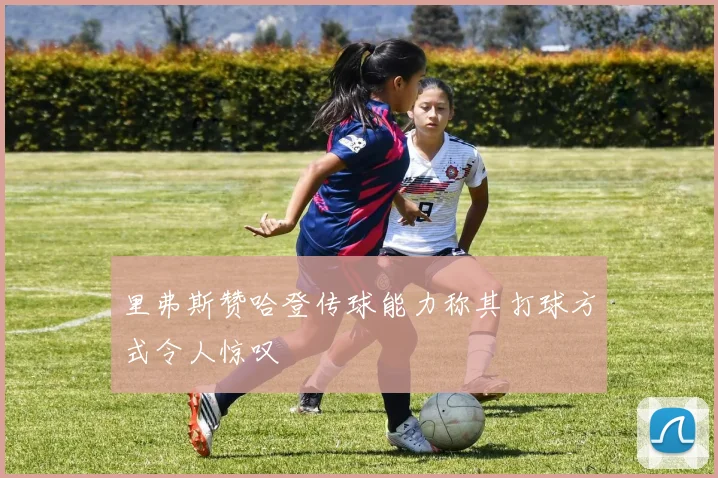 里弗斯赞哈登传球能力称其打球方式令人惊叹