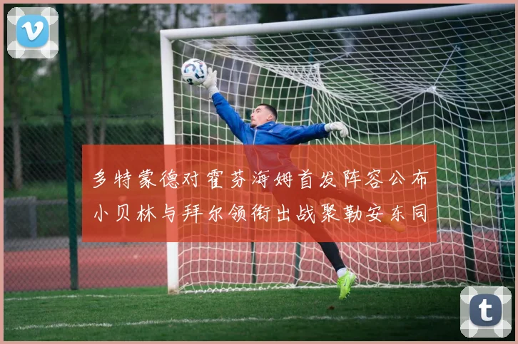 多特蒙德对霍芬海姆首发阵容公布小贝林与拜尔领衔出战聚勒安东同场竞技