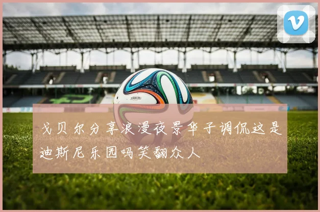 戈贝尔分享浪漫夜景华子调侃这是迪斯尼乐园吗笑翻众人