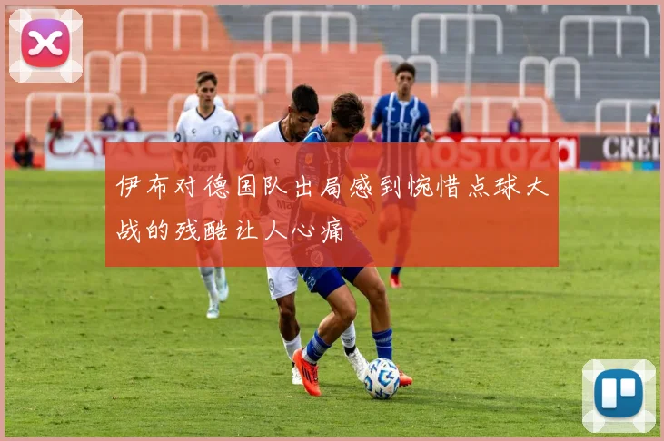 伊布对德国队出局感到惋惜点球大战的残酷让人心痛