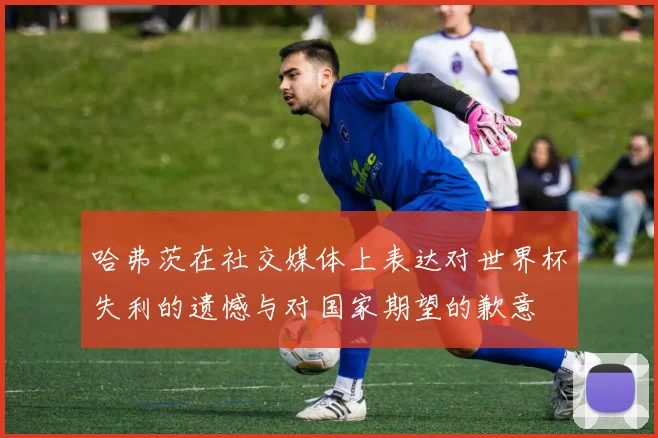 哈弗茨在社交媒体上表达对世界杯失利的遗憾与对国家期望的歉意